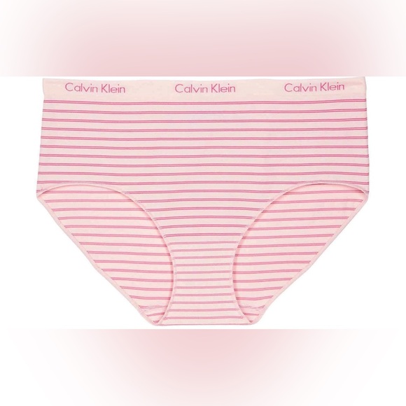 Calvin Klein Underwear Panties Thong Bikini Blue Pink Gray 3 Pack New NWOT - Picture 3 of 4